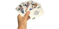 2 Jeux de cartes avec les boîtiers de collection-Livraison incluse*